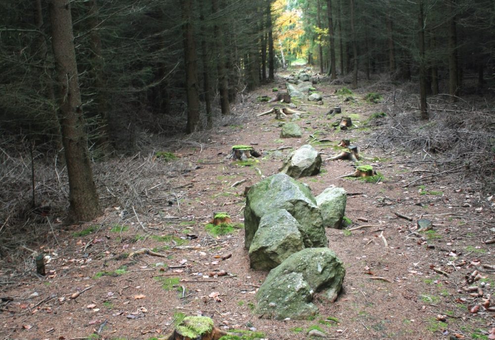 Kounov kamenné řady