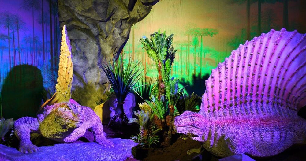 DinoPark Liberec DinoPark Liberec