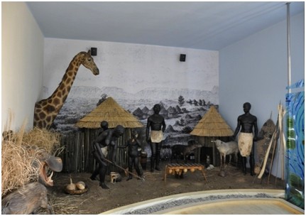 africke muzeum Emil Holub