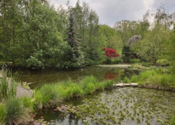 park cabarna