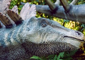 dinopark