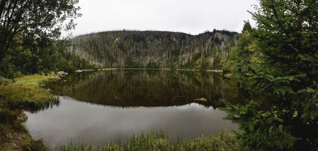 plesne jezero plesne jezero