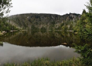 plesne jezero