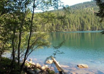 sumava