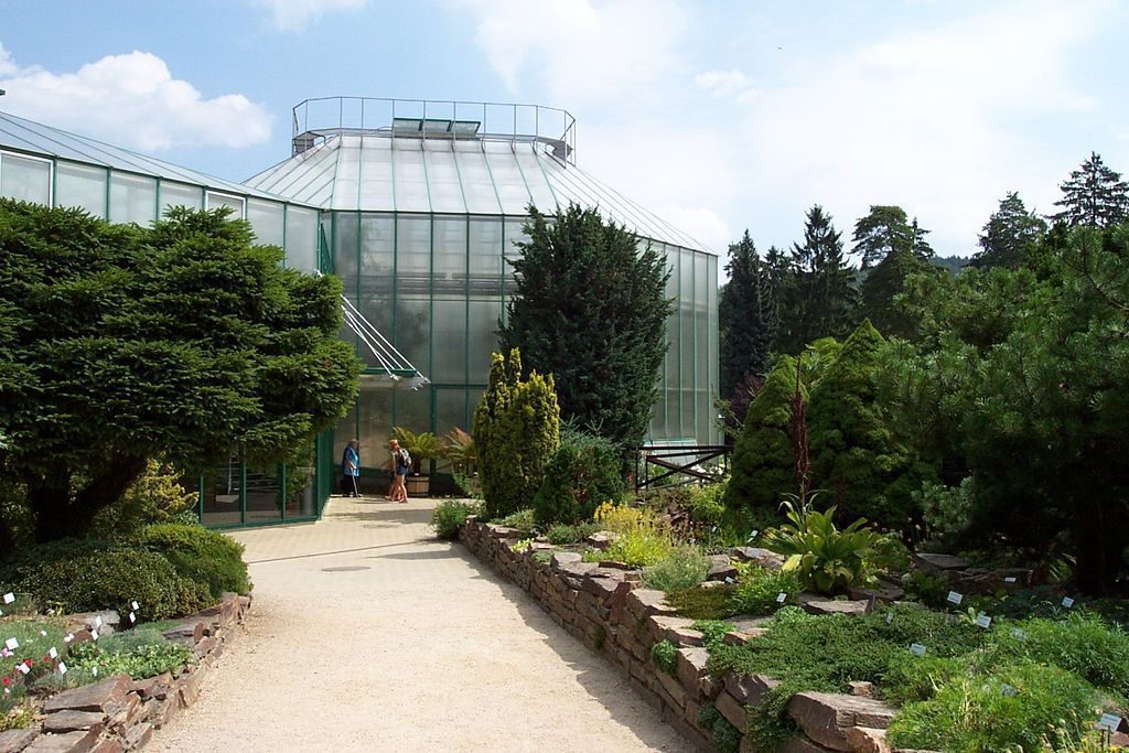 Botanicka zahrada