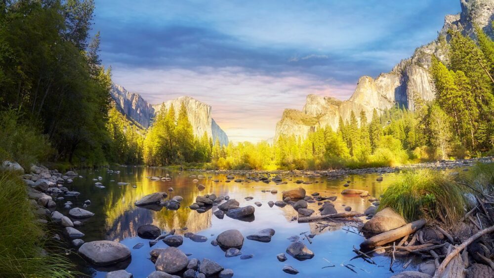 Divoká příroda v Yosemite USA
