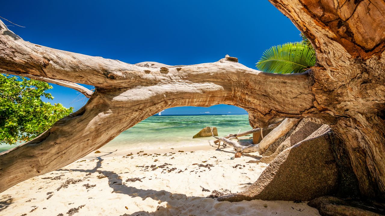 Pláže a příroda Seychely