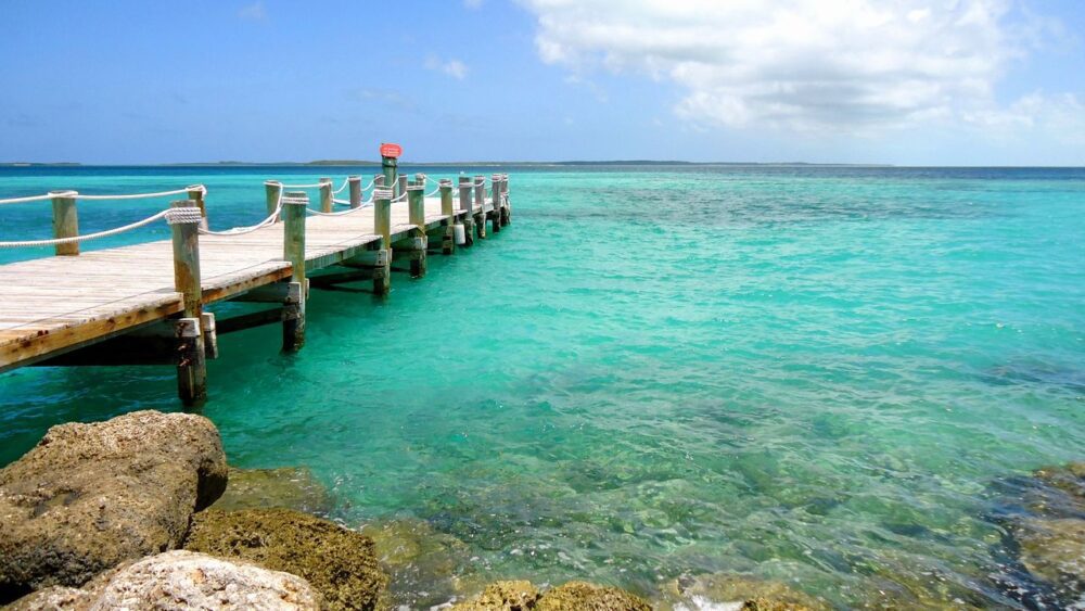 Priroda-bahamy