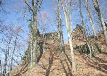 zrícenina hrad bradlec
