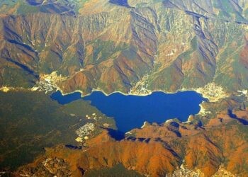 aokigahara les