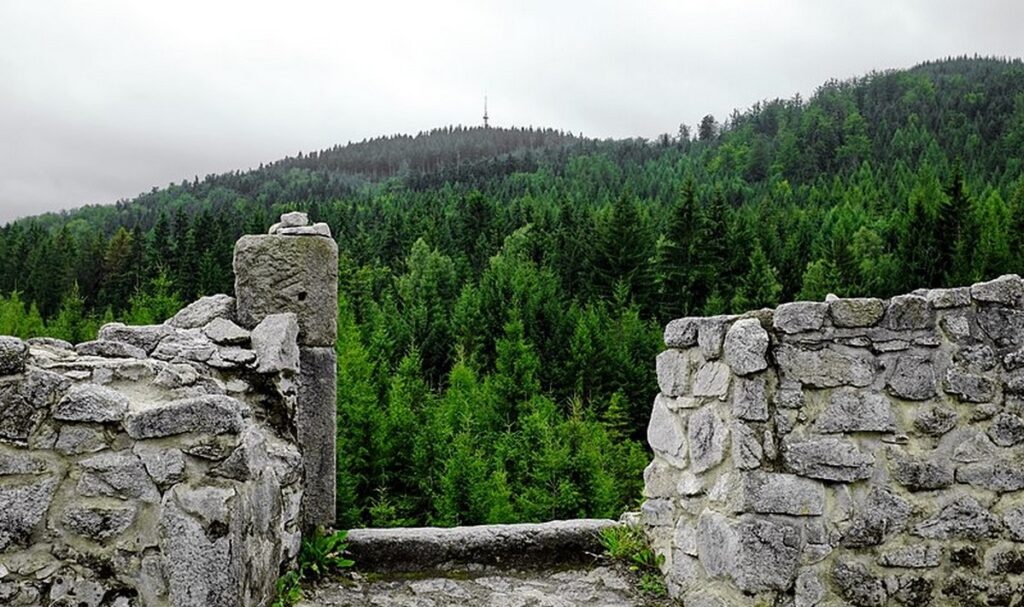 Krudum Slavkovsky les