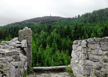 Krudum Slavkovsky les