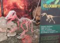 vystava-dinosauru-vila-real-velociraptor