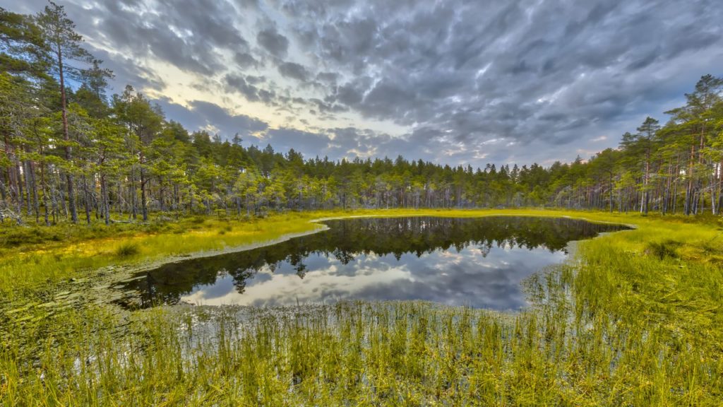 gotland gotland