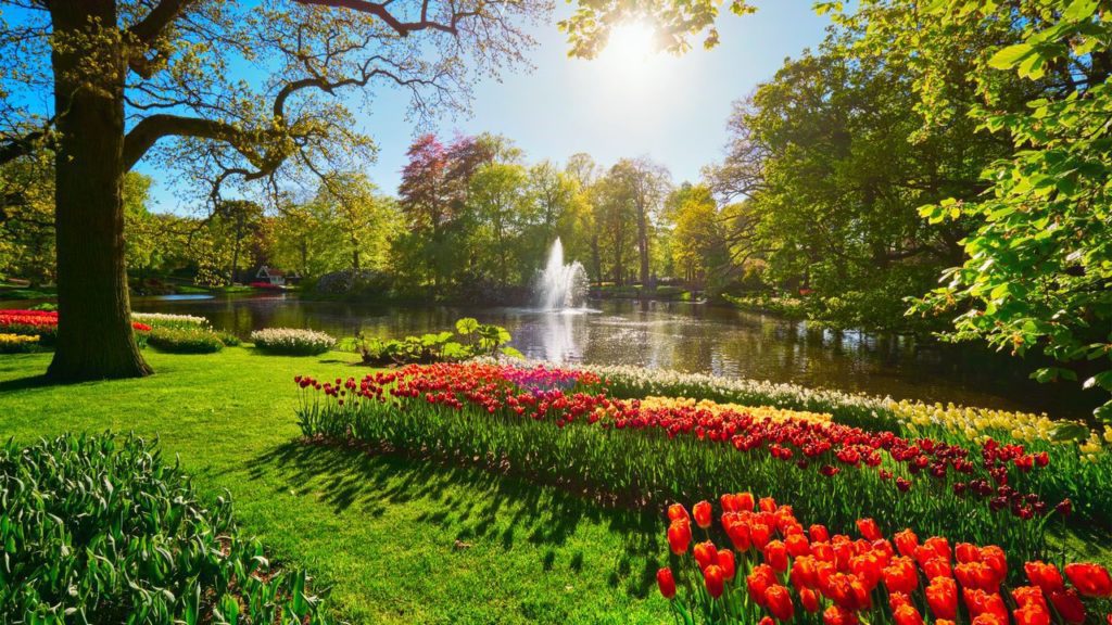 keukenhof keukenhof