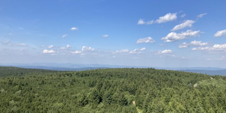 Vyhledy-z-rozhledny-2