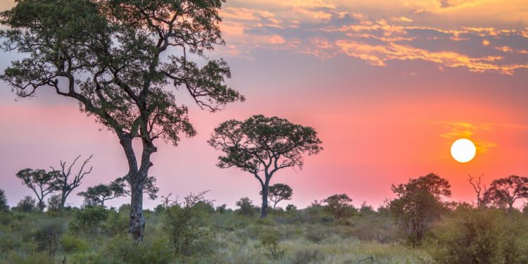 zapad-slunce-serengeti