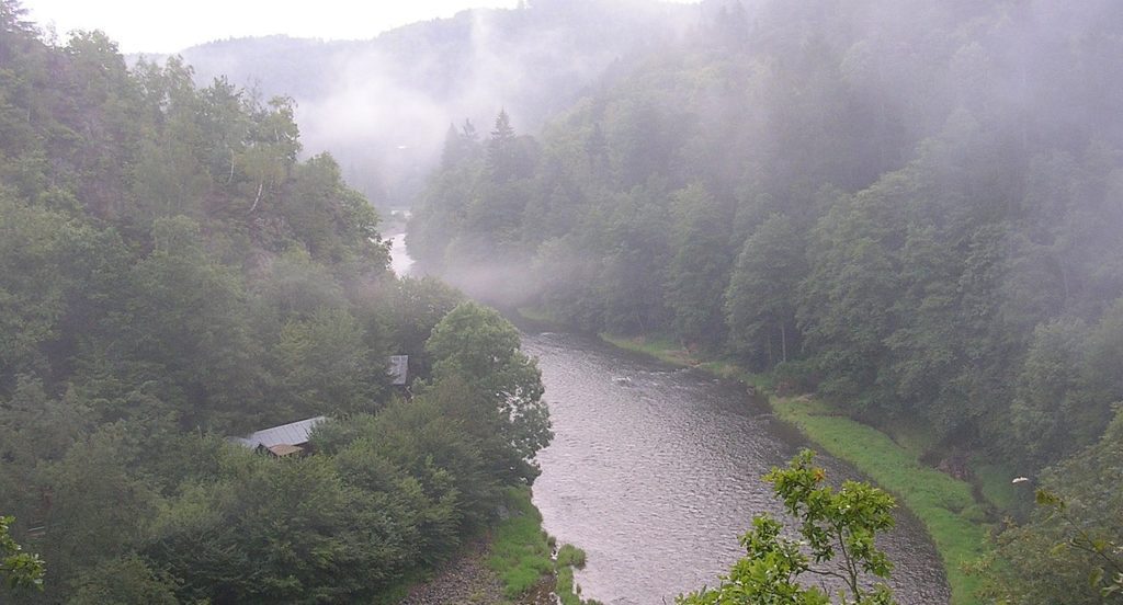 sazava sazava