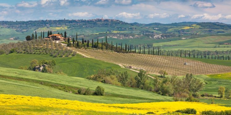 toskansko-valdorcia