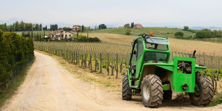 val-d-orcia-farma