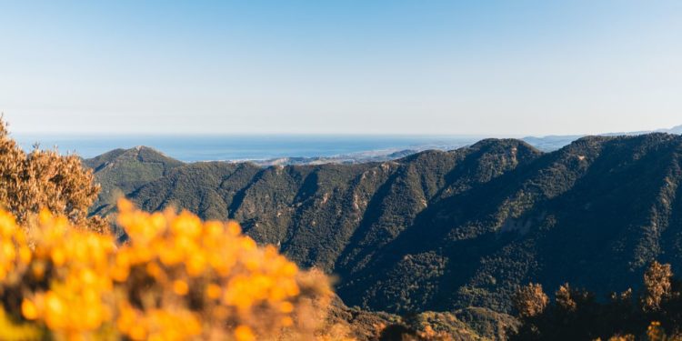 italie-aspromonte