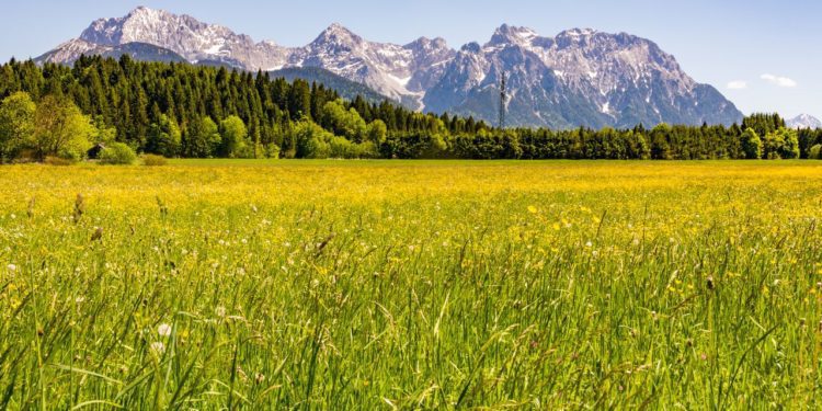 louka-bavorske-alpy