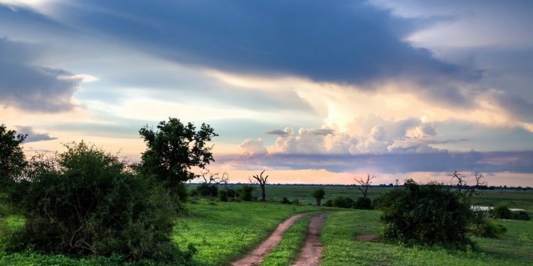 priroda-narodni-park-chobe
