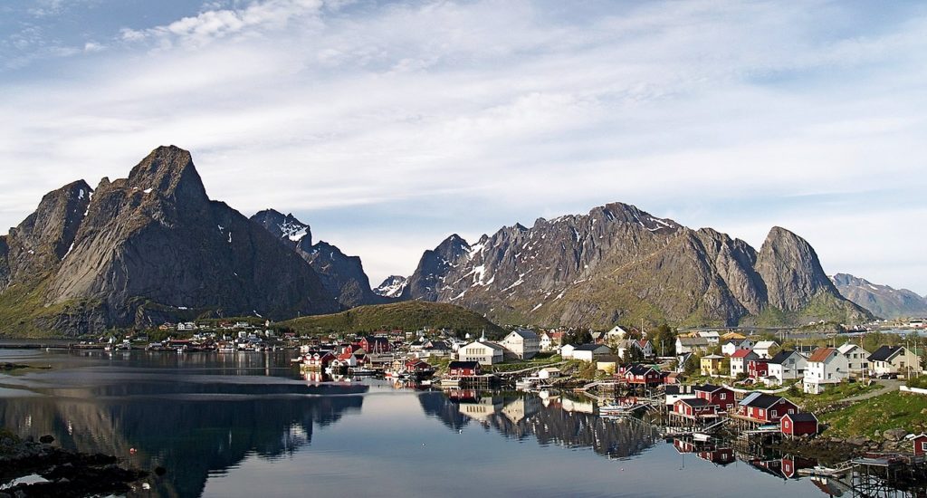 reine-1 reine-1