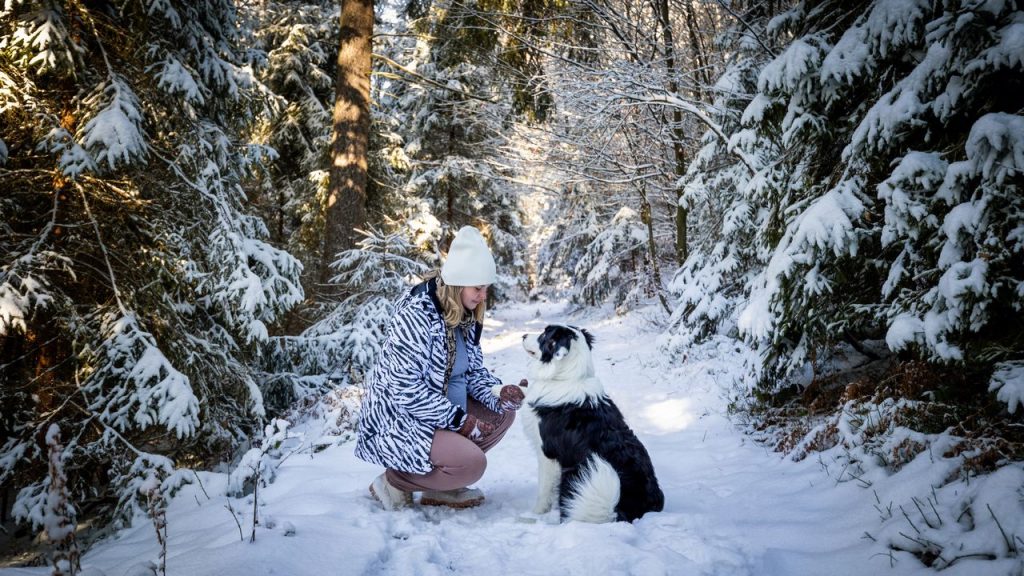 les prochazka se psem