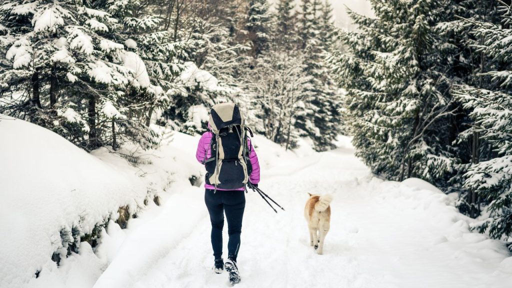 prochazka se psem v zime