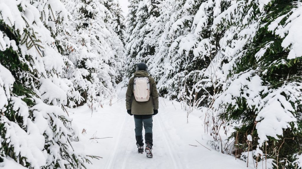 zimni prochazka - v lese
