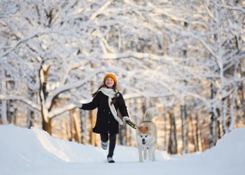 zimni prochazka v lese vylet (2)