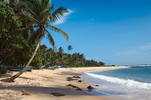 Idyllic beach. Sri Lanka Idyllic beach. Sri Lanka