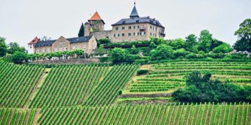 vineyard-6796239-1280