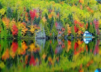 etise2-fall-3672851-1280