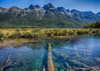 holgerheinze0-new-zealand-583183-1280