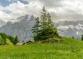 raikom-mountain-panorama-7319737-1280