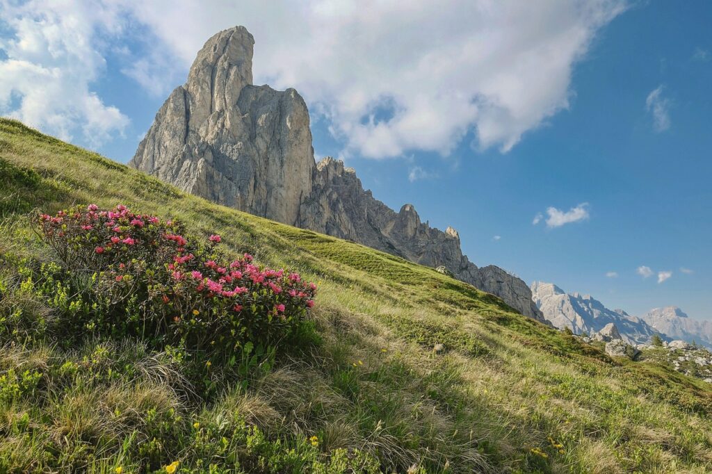 louka shogun-mountains-4435423-1280