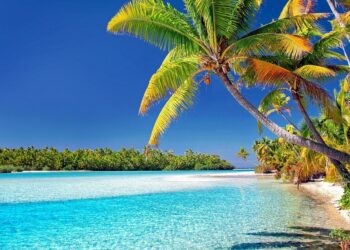 julius-silver-cook-islands-3998261-1280