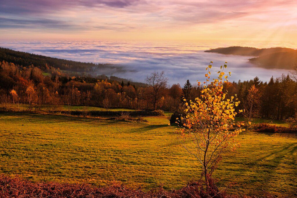 mlhy alandsmann-nature-7082341-1280