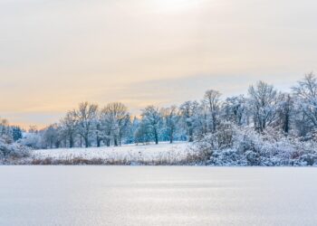 chiemseherin-winter-9314981-1280