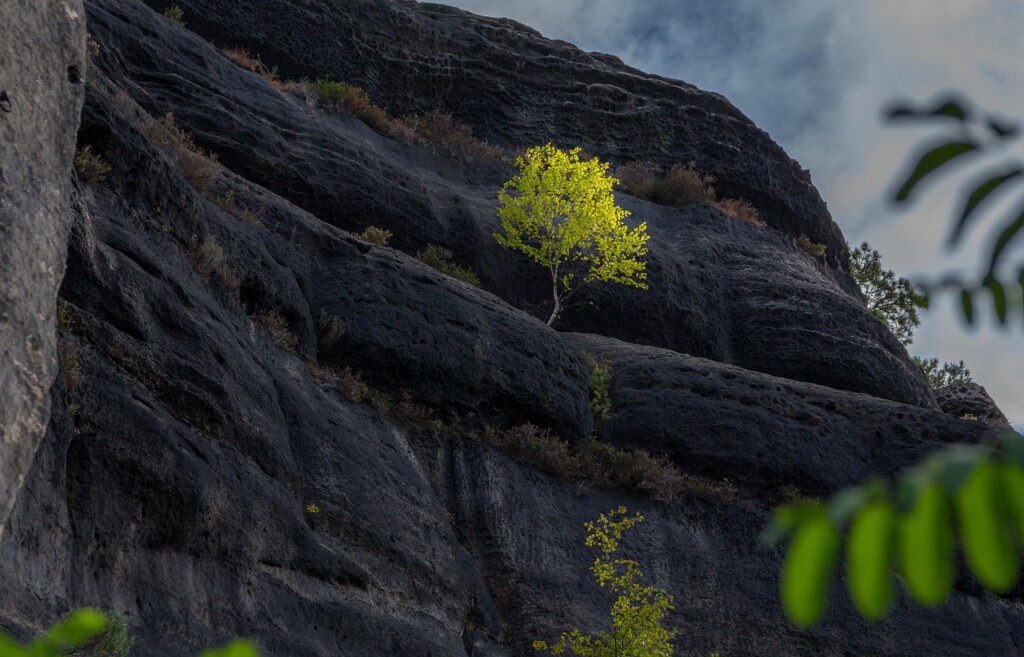 fotoart-treu-elbe-sandstone-mountains-3728708-1280